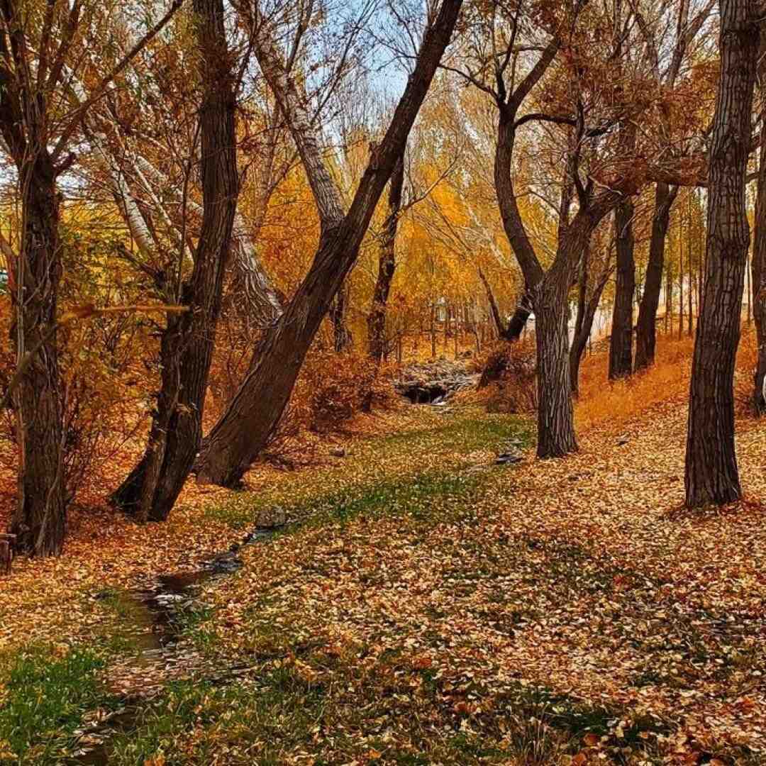  گفتی که قلبت با منه اما یکی دیگه تورو داره همخوانی دختر