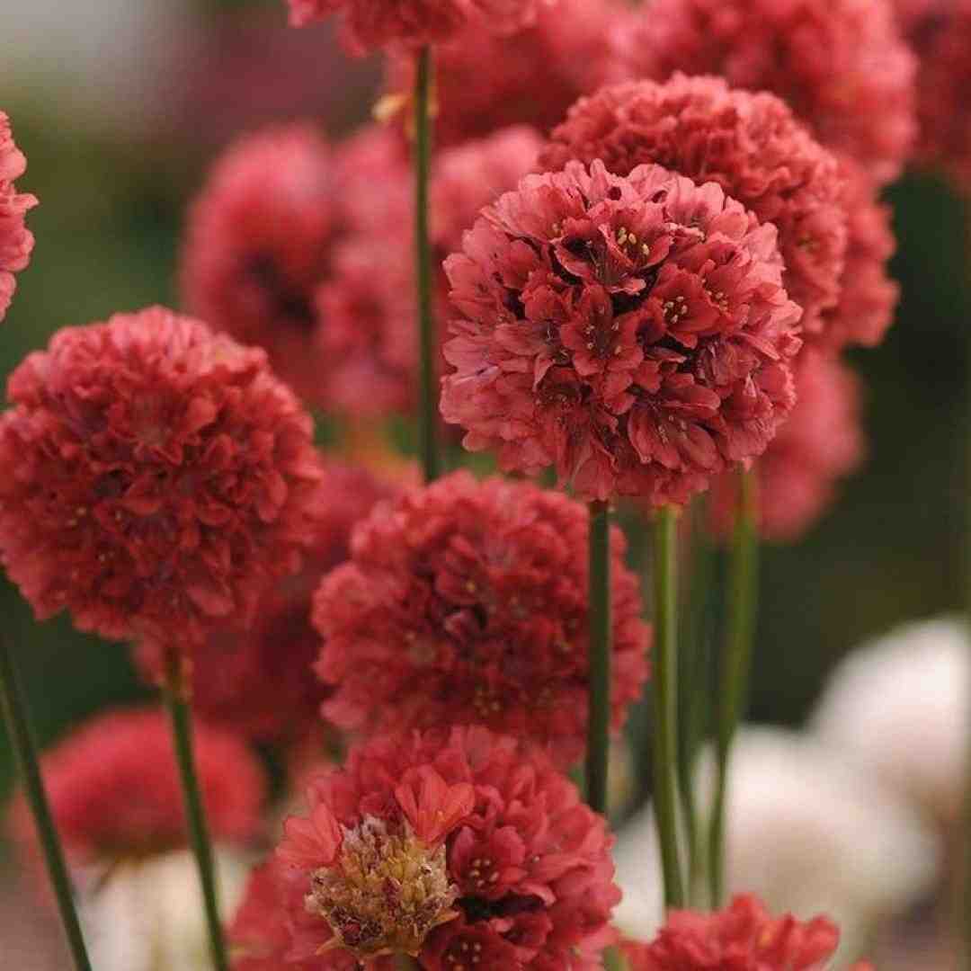  ما دوتا مریض هم بودیم نیستی اینجا ولی میشناسی منو