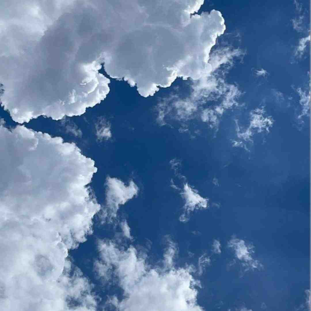  دیدم فرشته ی عذابم را اجرای گروهی
