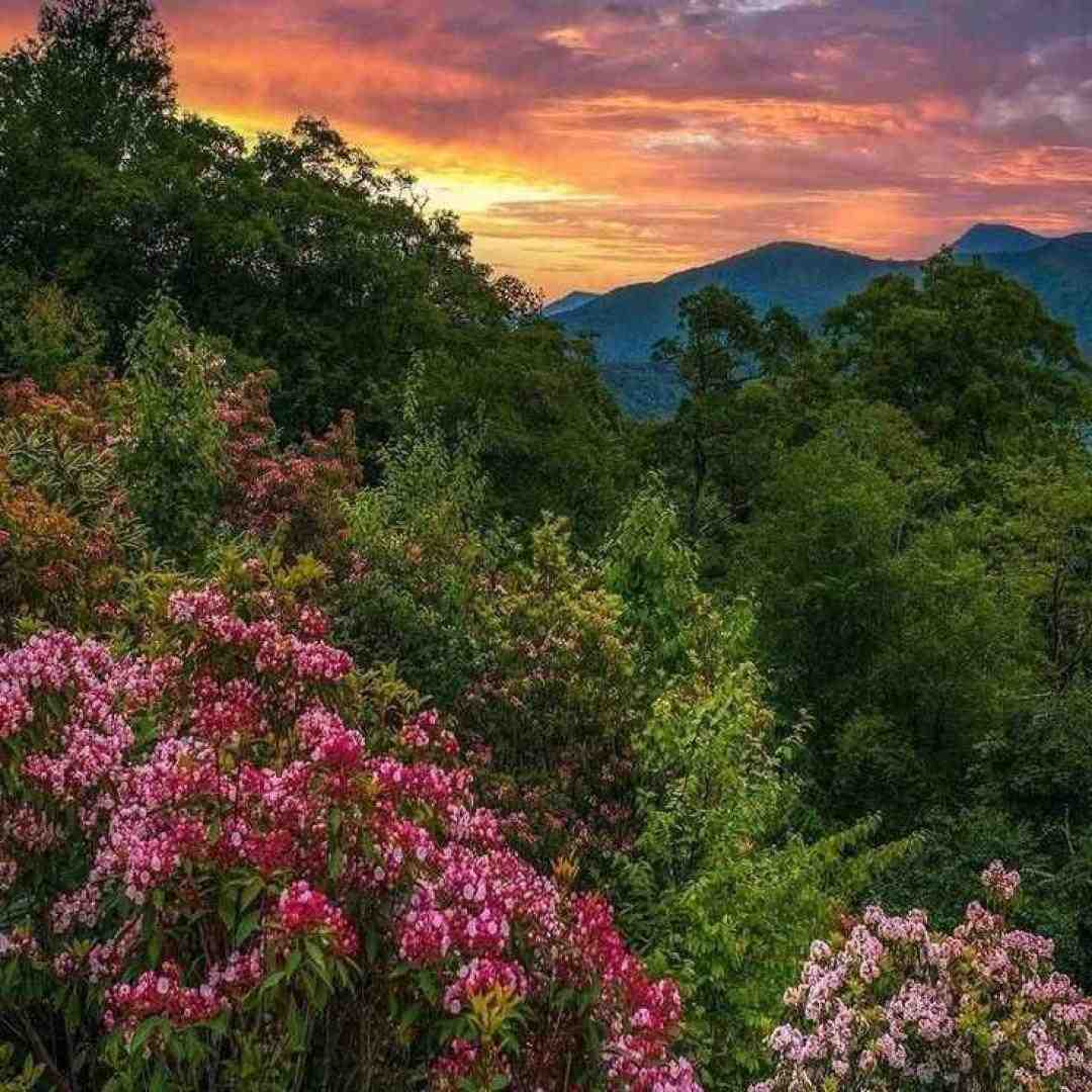  میخواستم بوی تو رو عطر تمام تن کنم – معروف اینستایی