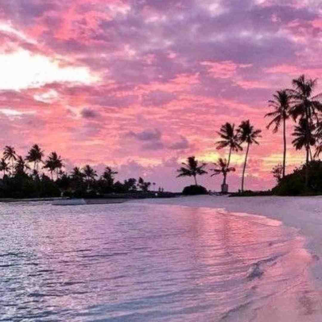  برد قطعی صعود حتما اینجا همه فروشندن  آینده نامشخص