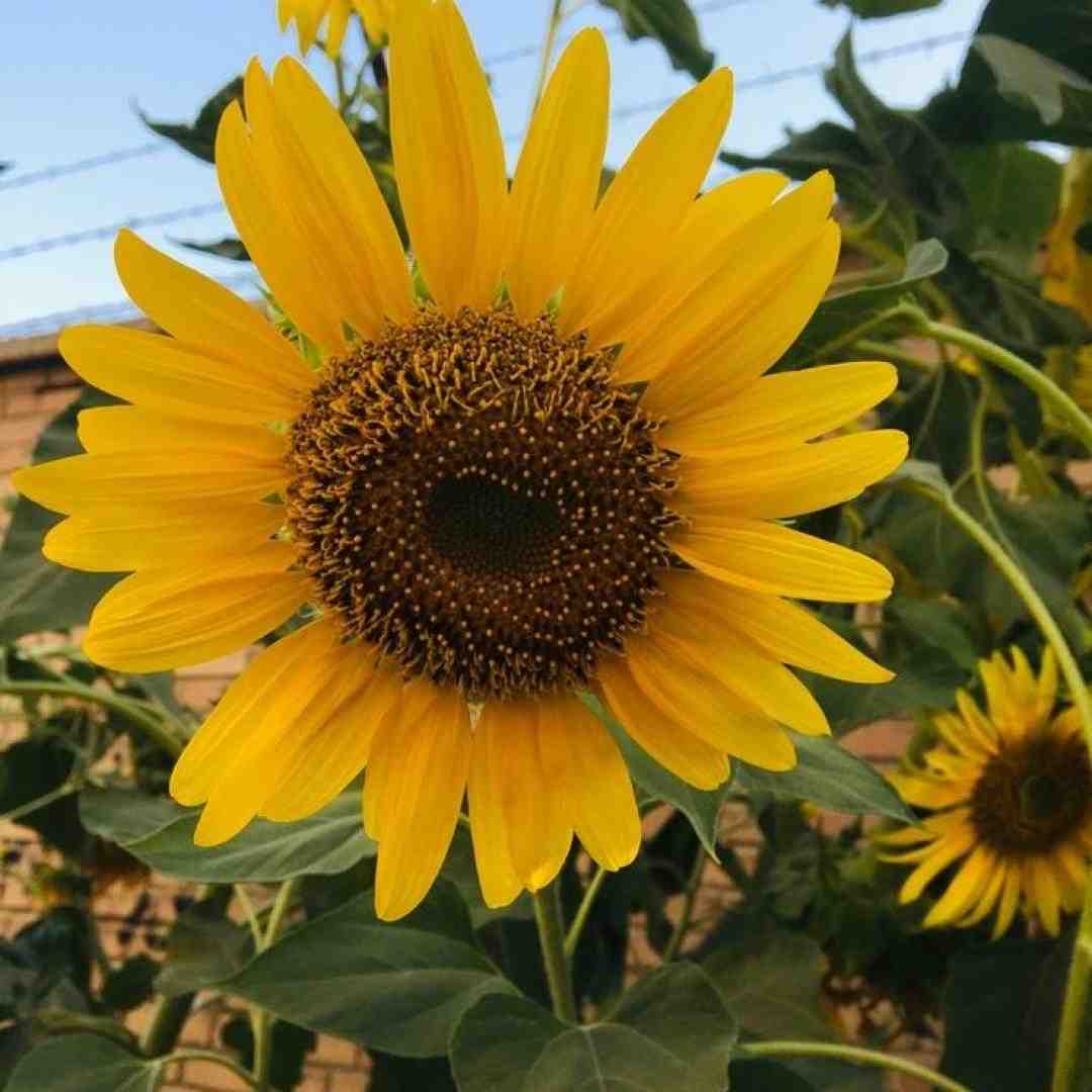  زندگی همینه اگه دوست نداشت اندازه من رفتم من با