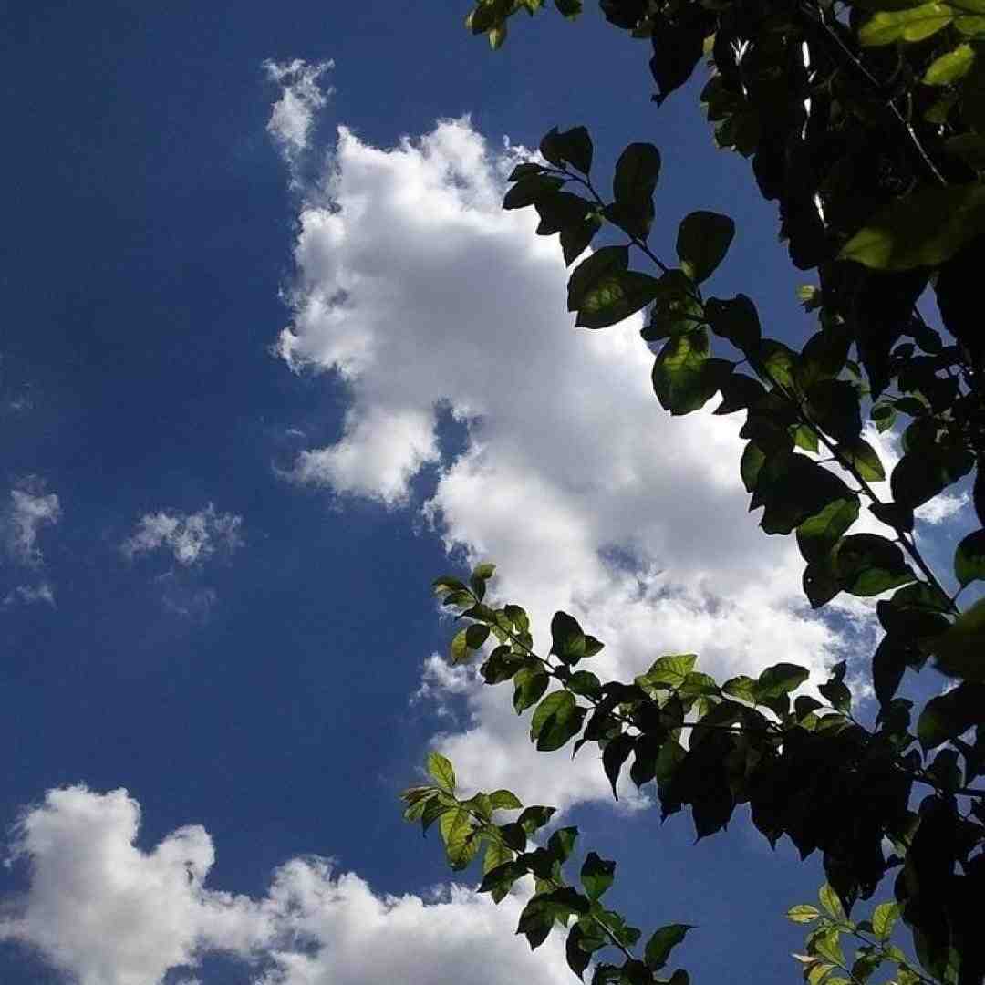  یه طرف منو این حال بد یه طرف تو با صدای مرد