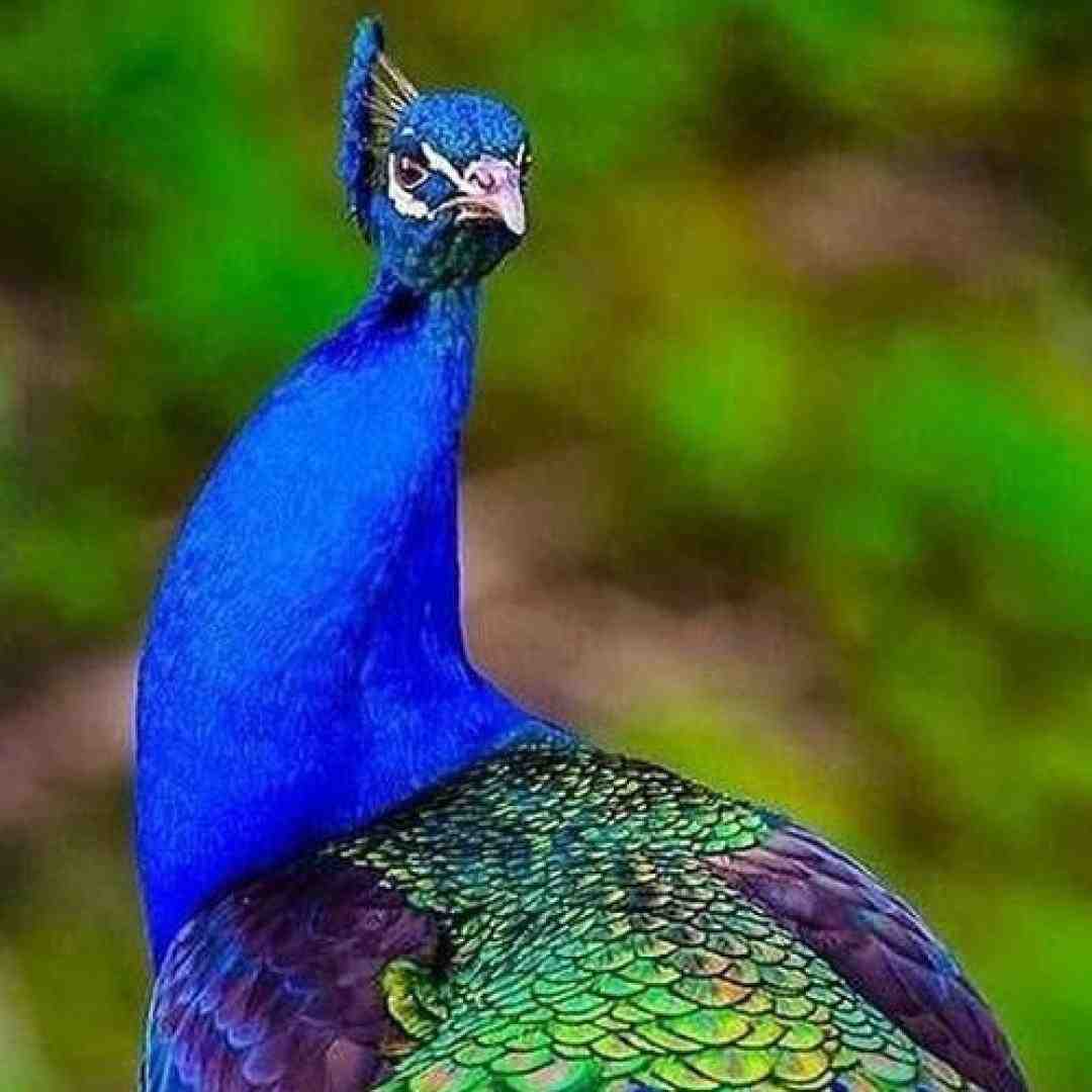 دوباره دوره همیم ما کنار دریا موج ها و سیگار