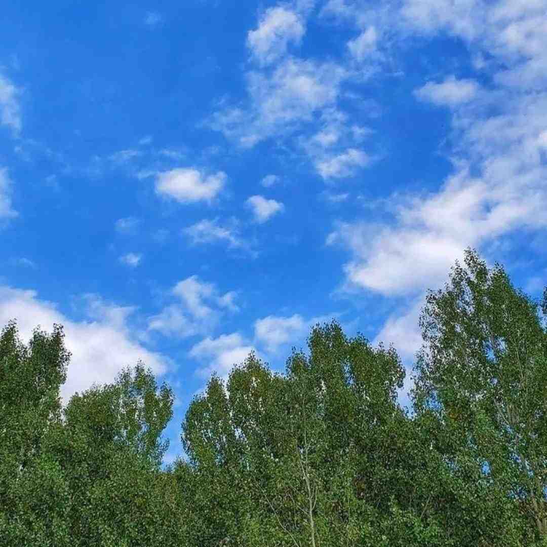  شما نه رقیب مایی نه دشمن مایی نه مال این حرفایی اینستایی