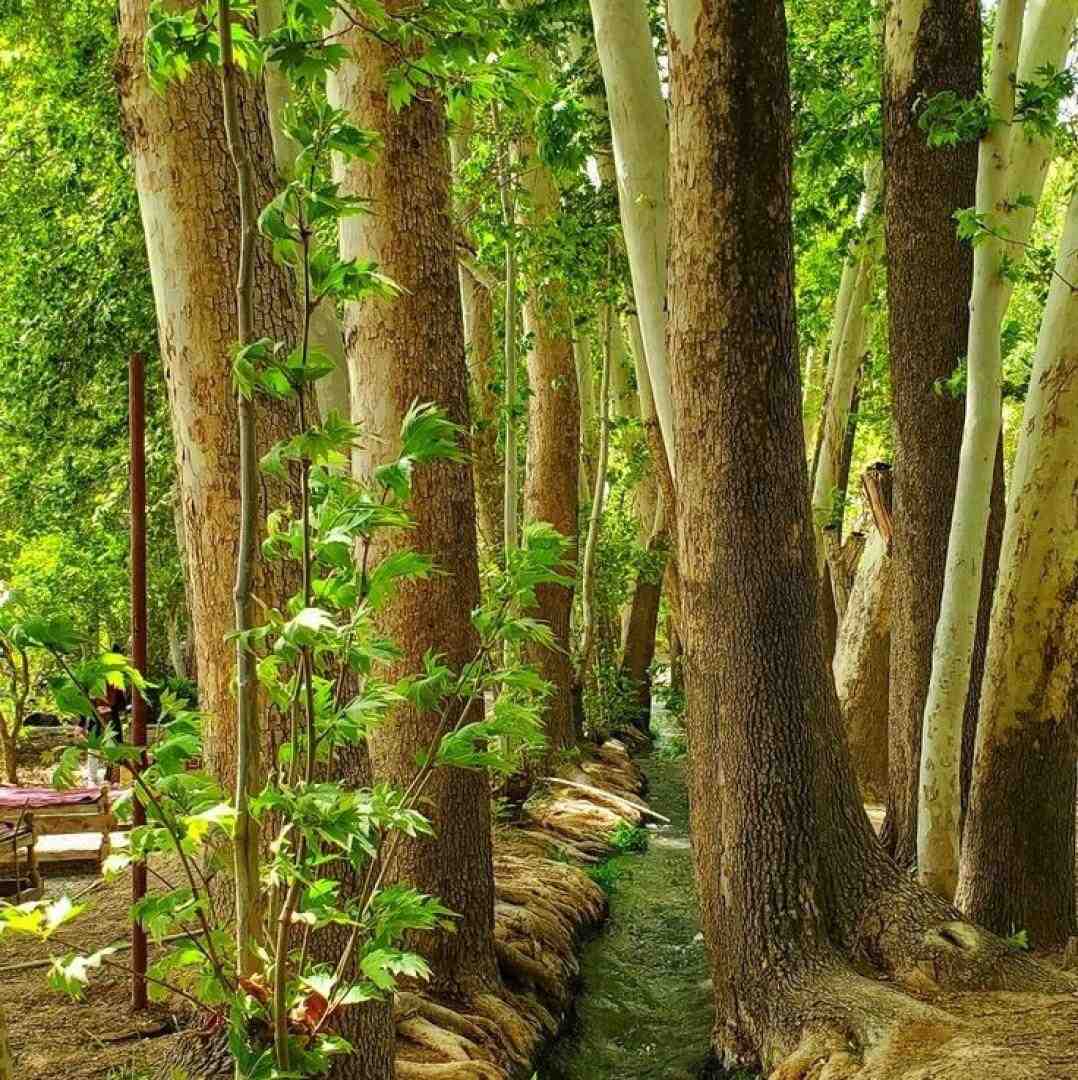  راجبم هرچی شنیدی بنداز دور واسه قبله بیا به هم دیگه