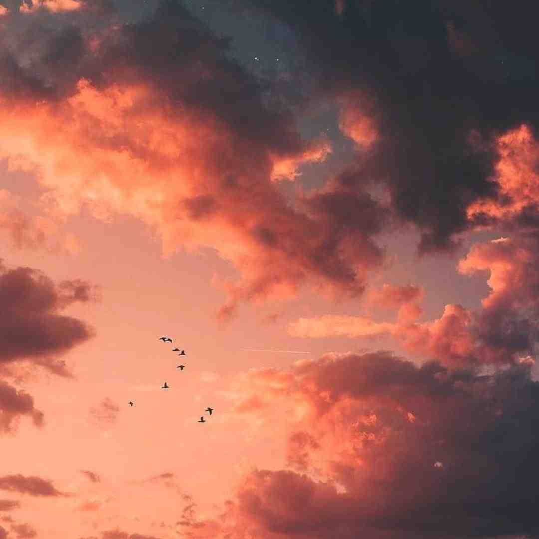  الف ب پشت سرم داره کینه تو روم رفیق فاب ماجرا