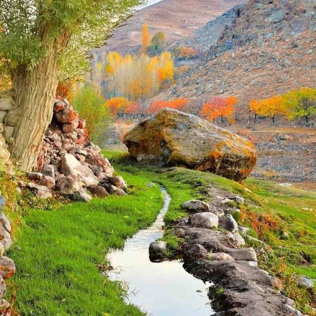  ماشه رو کشیدی و رفتی پلی نموند پشت سرم