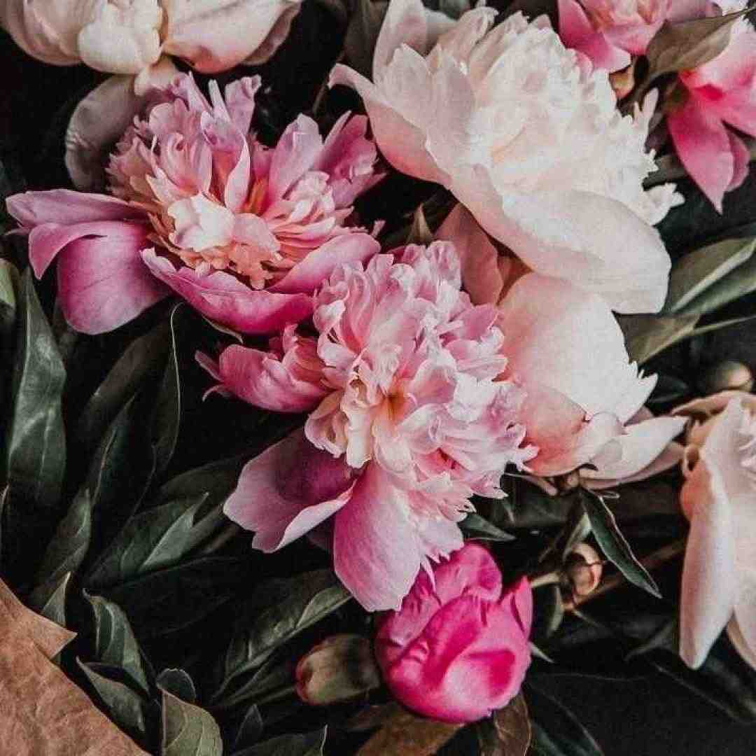  همه رفتند کسی دور و برم نیست چنین بی کس شدن