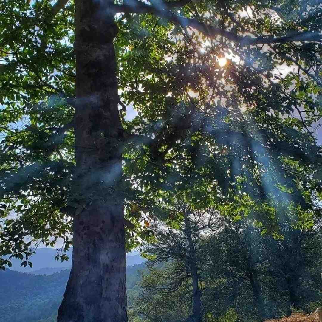  یک طرفه شد رابطه اون شب رو یادته