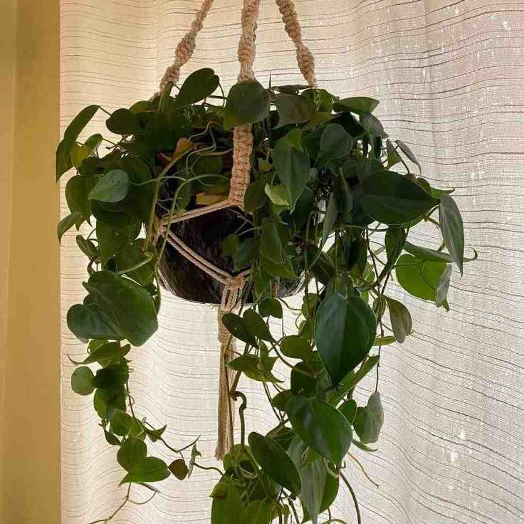  هر شب گفتگو میکنم با خودم و خدای خودم (کوردی)