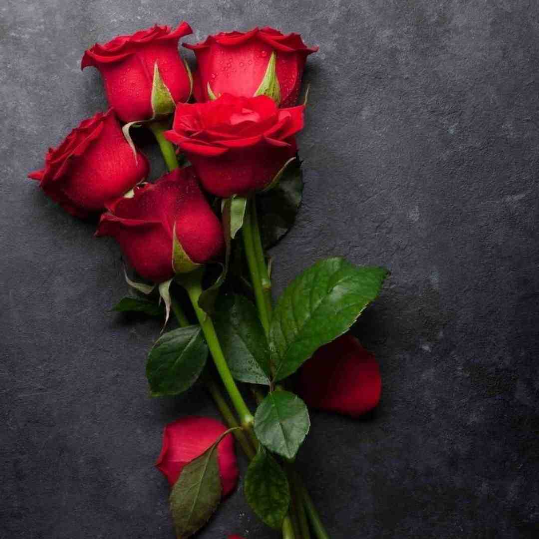  بهم قول بده وقتی که نیستی نیاد تو بغلت جای من هیچکی
