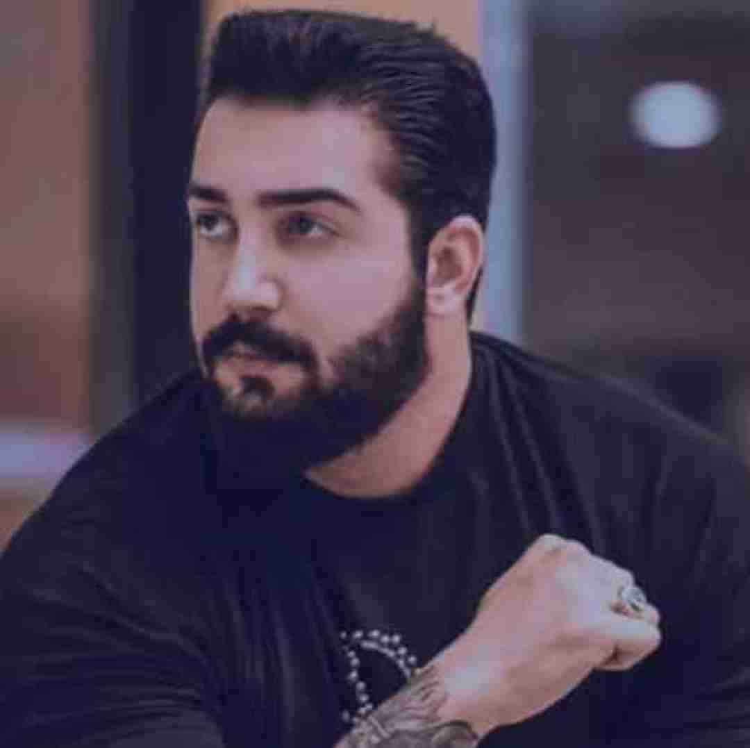 آرمین سبزواری حسرت