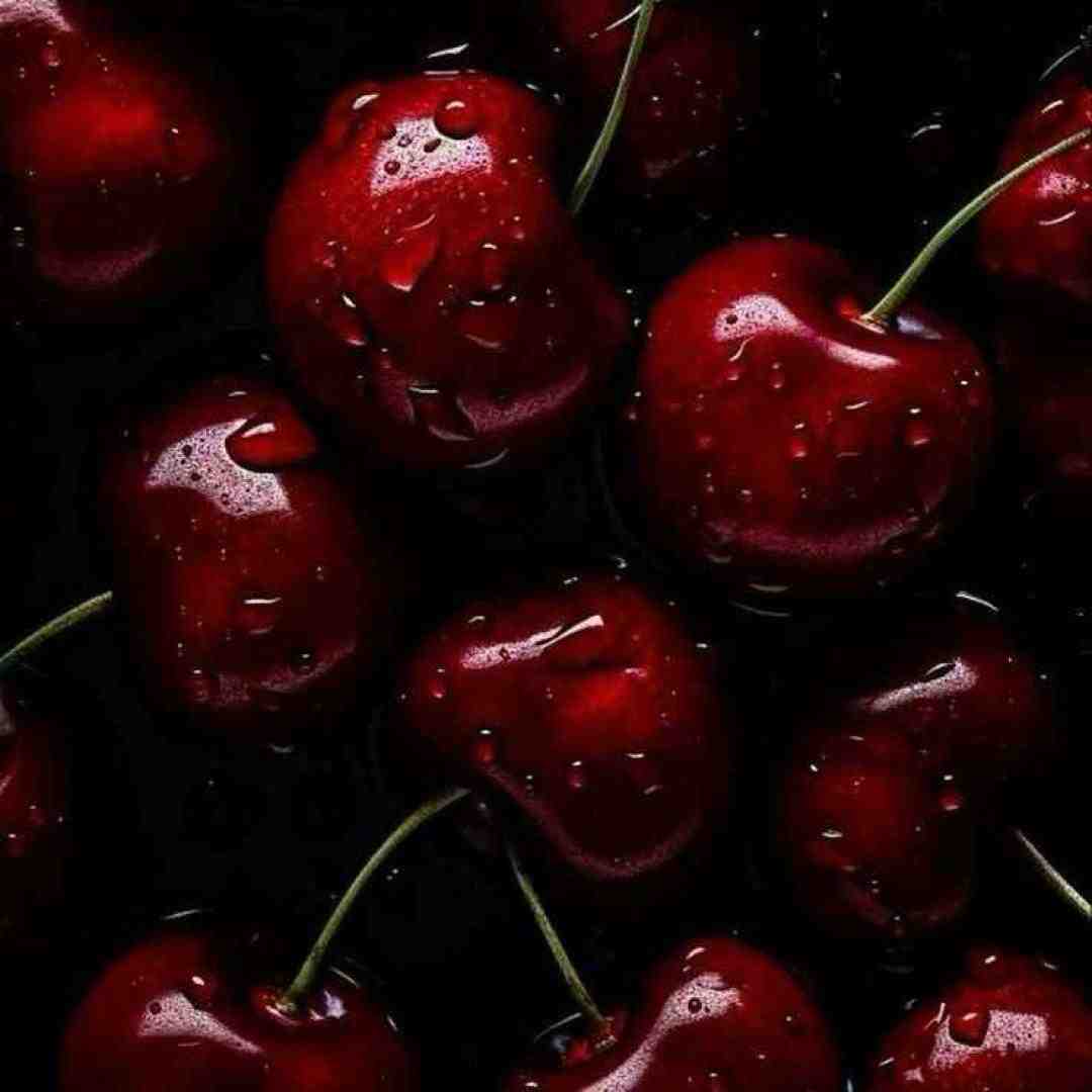  من تنها هدفم تو زندگی بردنم بود ببین یه قدمیش بودم