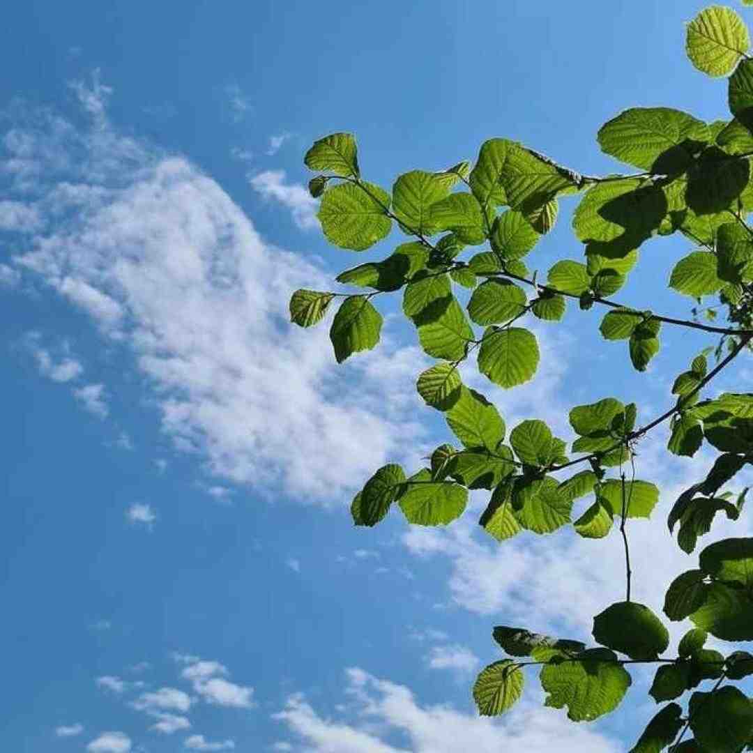  تو تاريکی بودی طلوع صبح برات جونمو میدم به جون تو