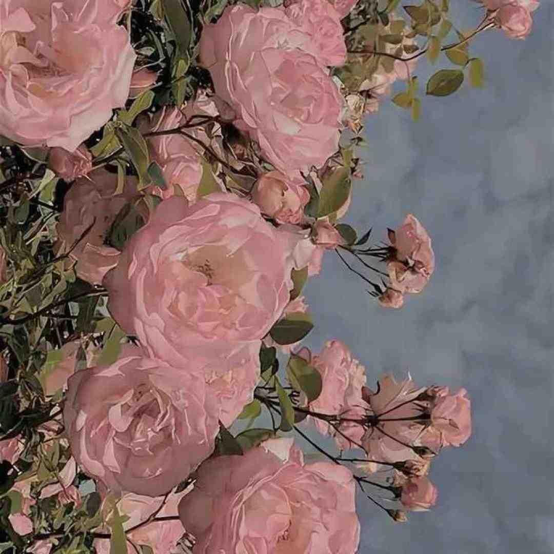  الو اقدس تو کافه کیلو کیلو قهوس اینستایی