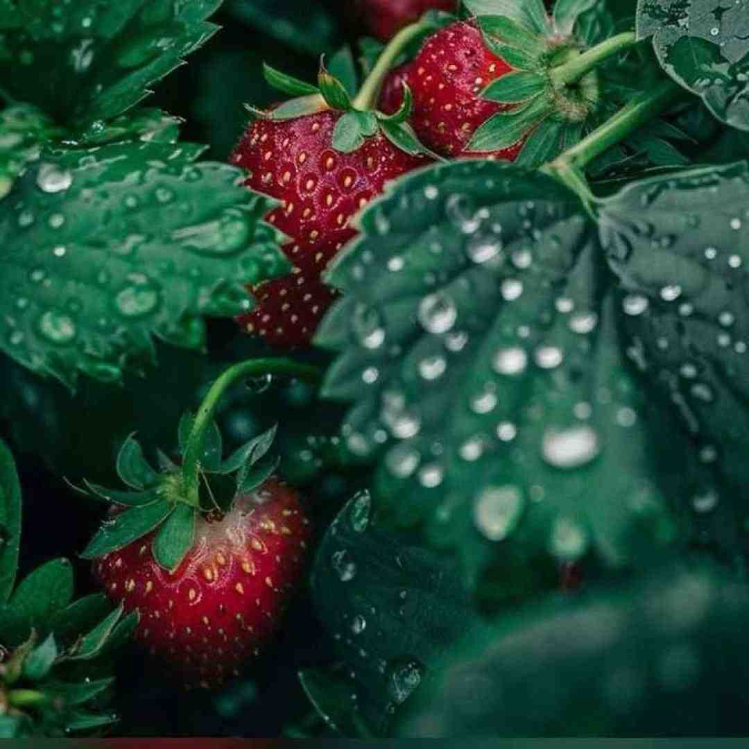  بحث چیه دیگه بحث ندارم همه صف شدن پشت سرم حرف درارن