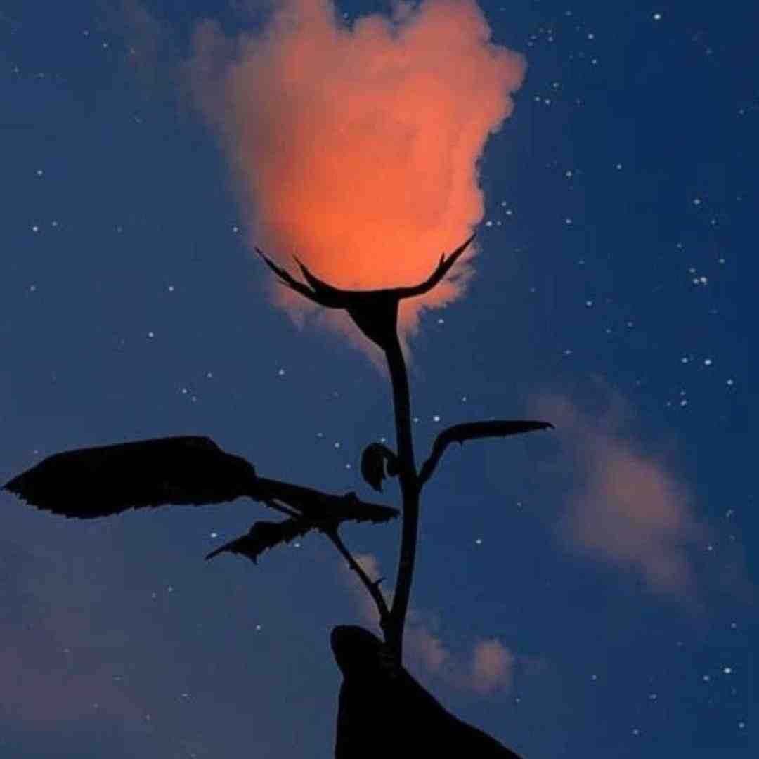  اومدم با نهایت فلکس پرچم بالاست