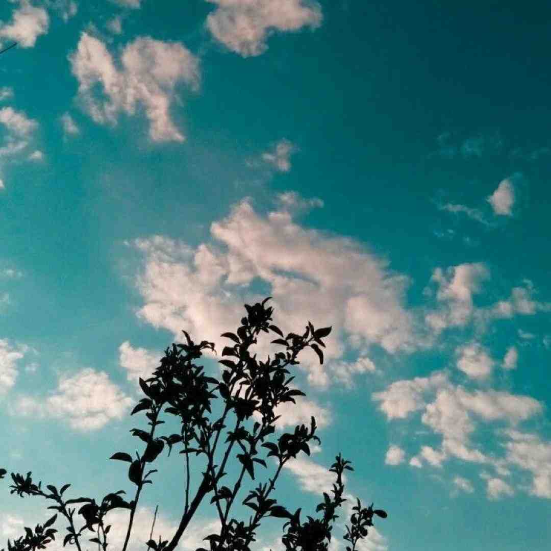  وقتی گیر کردی وسط اسباب کشی بشینی با صدای دختر