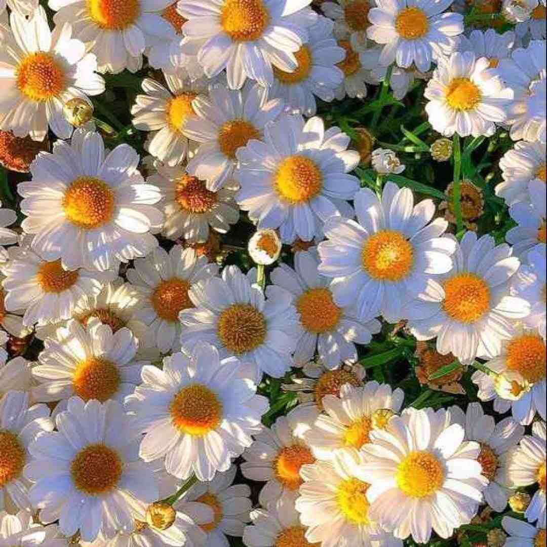  گذشته آب از سرمو یه چن وقته که هیچکی دورم نی