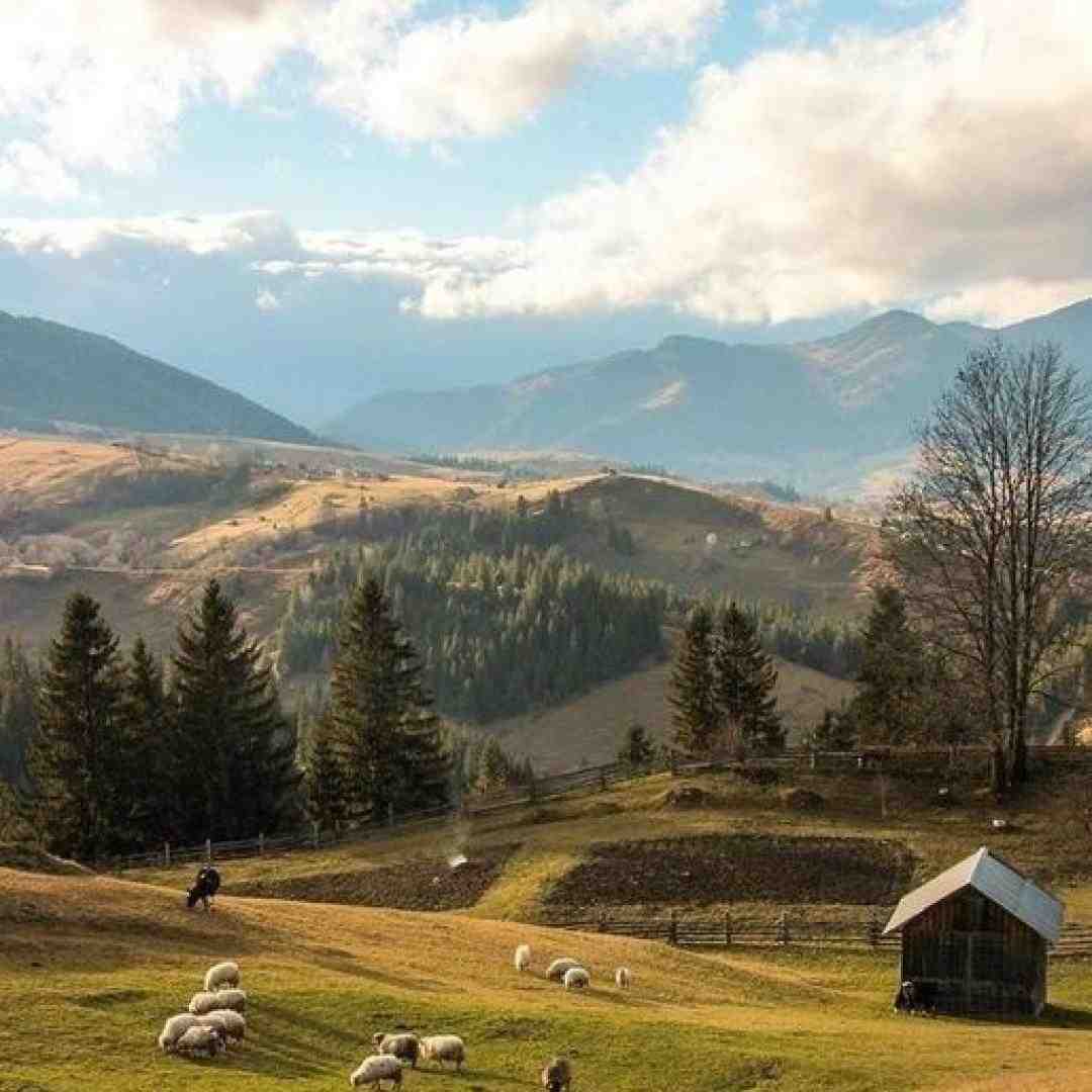  دیگه چشام نمیشه تر که بریزه اشک چرا آروم نمیشه درد