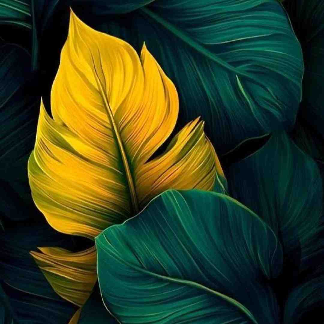 فقط بیا برسون خودتو به من اگه میشه اگه اینجا نه