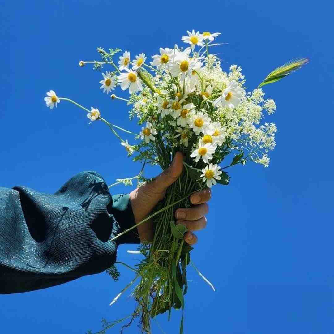  خیال میکردم عاشقت نمیشم اگه نگات کنم با صدای پسر