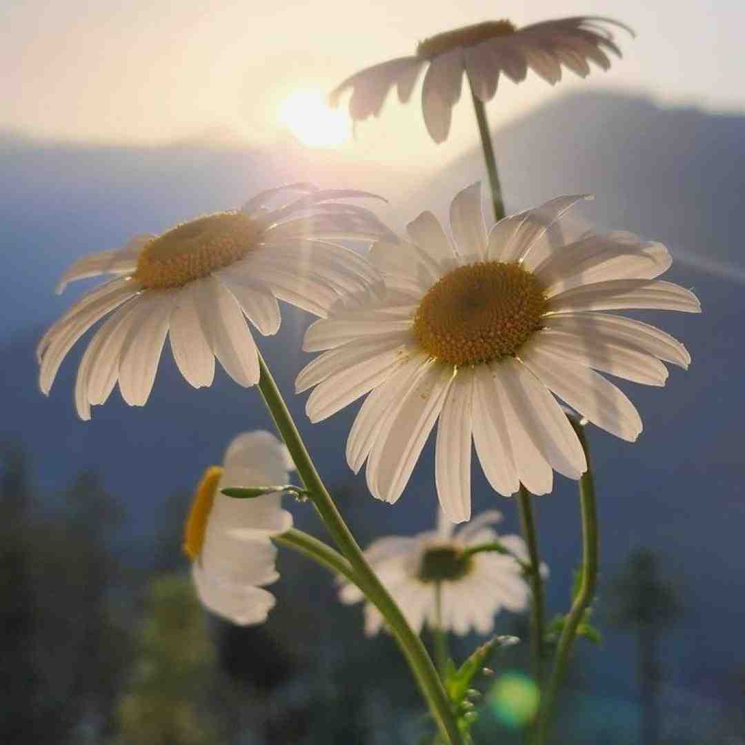 لم بده برام رو صندلی رو صندلی نون نیگات کنم با صدای مرد