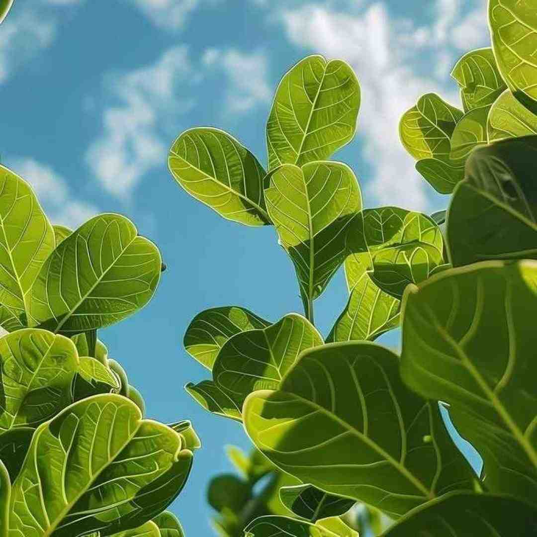  نری بگی بی حیا بود بی دین و بی خدا بود اجرای گروهی