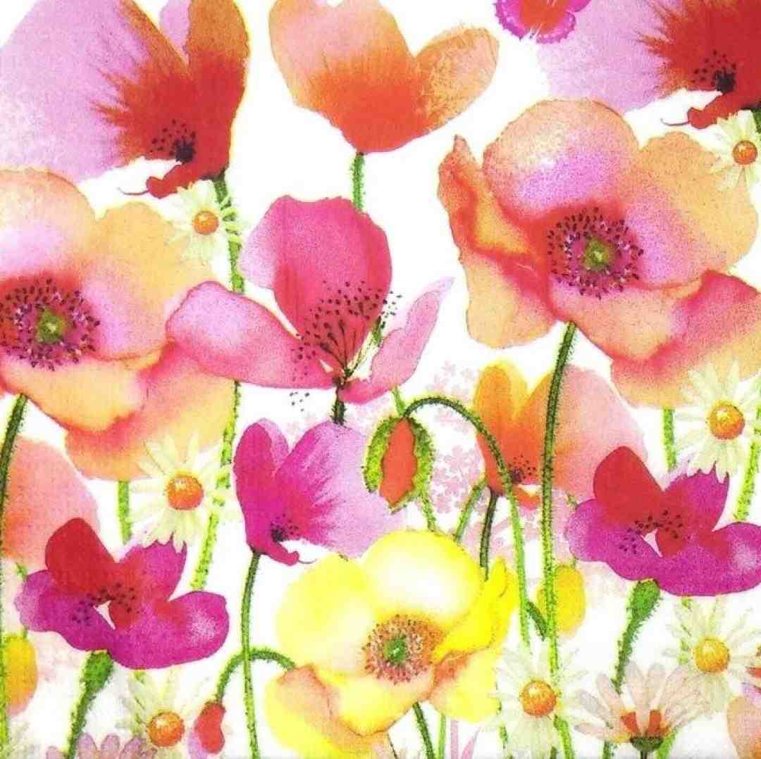 جو منو گرفت یکی بگیره منو حالا من یه چی میگمو