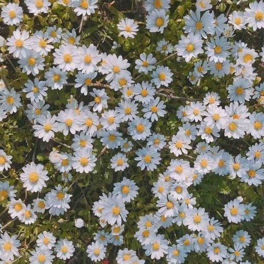  نه تو آدم بشو نیستی به جای دلم همخوانی رامین تجنگی