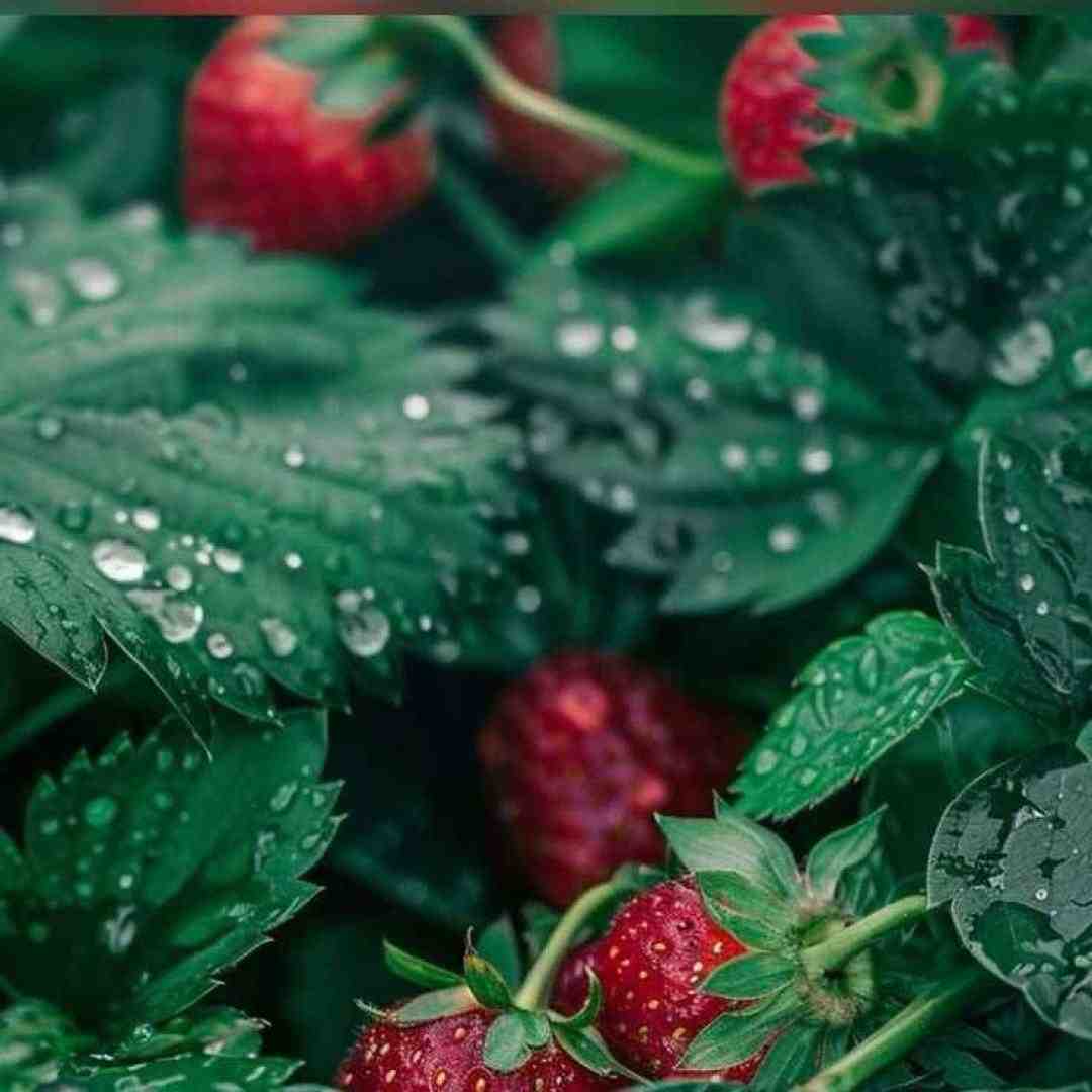  ماشینم واشر زده 405 طلبکار ترند اینستایی