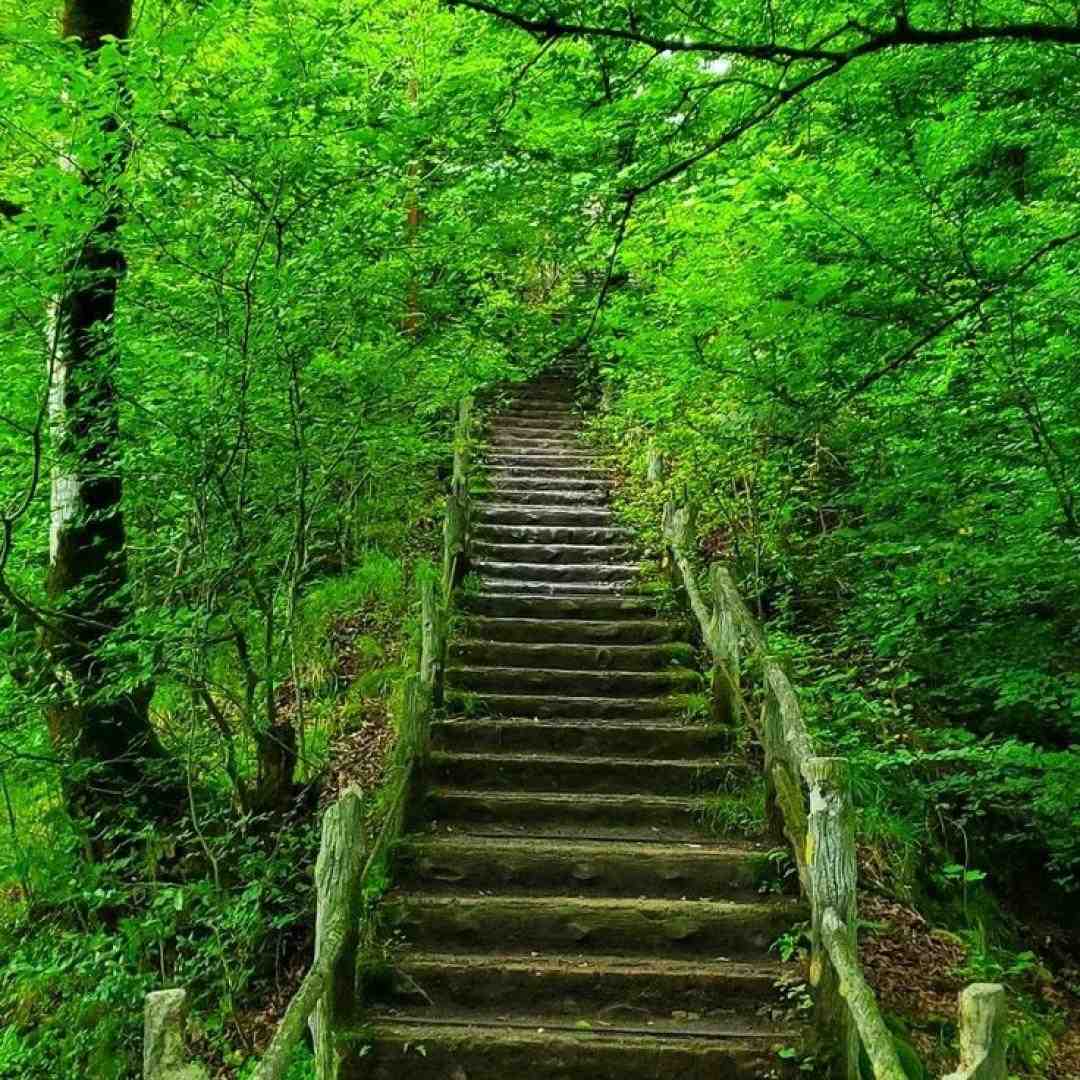  الان الان الان همه میپیچیم ویلا همه فک زدن
