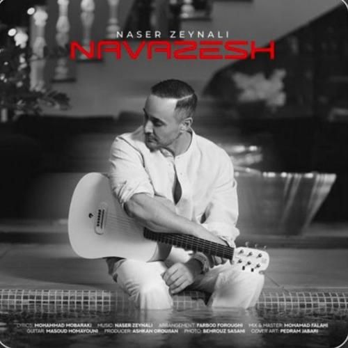 ناصر زینعلی نوازش