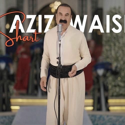 عزیز ویسی شرط