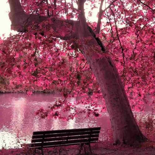  میگن حاجی گنگی چیه استدلال میگن تاجی دو ستاره