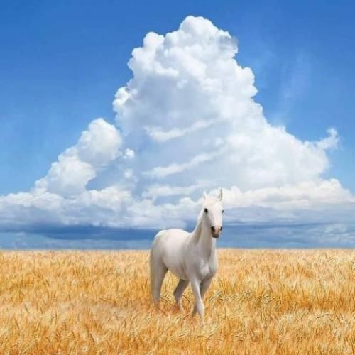  هنوز به یادشم همین میده قلبمو جرش
