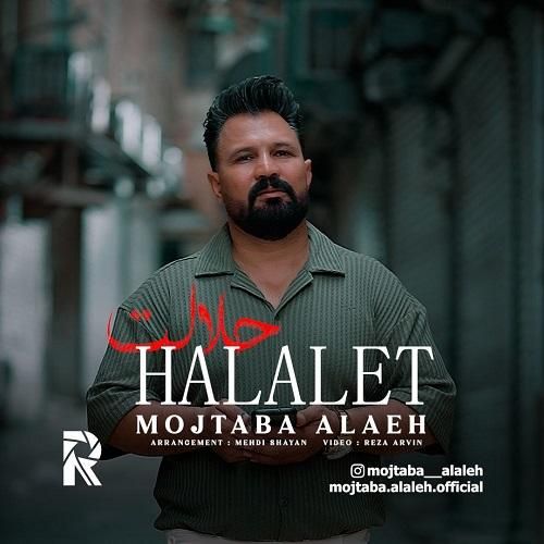 مجتبی آلاله حلالت