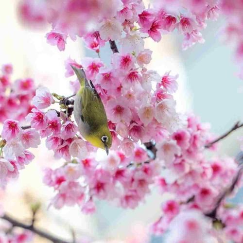  همه آدما بخوان از تو نمیکنم من