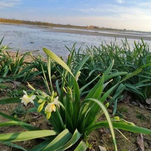 دانلود آهنگ از مبینا به داداشم مبینا داداش چطوری دانلود آهنگ از مبینا به داداشم مبینا داداش چطوری