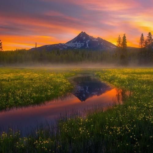 دانلود آهنگ تو فرار کردن شما خوبید باس طی کنید مسافت