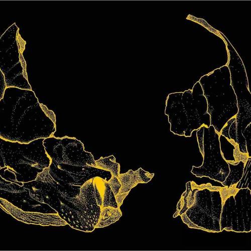  میره همه جا با اولیا یادش میره منو مثل گلیا