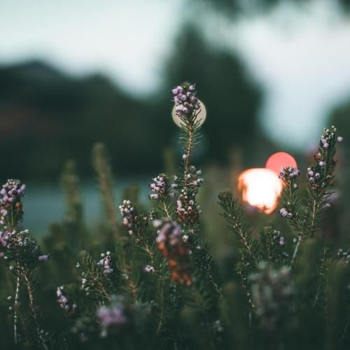 دانلود آهنگ این شبا تو تک تک تیکه های قلبم داری میتپی تپ تپ