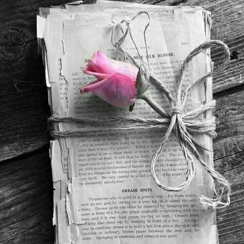 دانلود آهنگ هیچوقت فمیلی و دلم نمیخواست اگه ندارم الان به کسی تراست