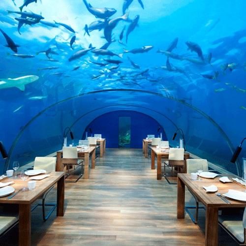 دانلود آهنگ دیگه رو شده دستت تو یکیو میخوای بکنه حذفت