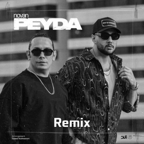 دانلود ریمیکس پیدا از نوان