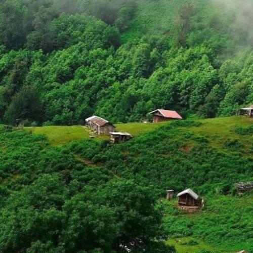 دانلود آهنگ الان خوبی بدی چی شدی چطوری کجایی ها