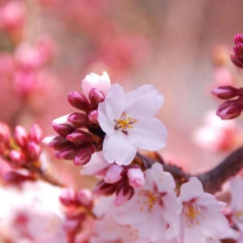 یه روزی به سلیقه من میزدی لاکم عکسامو پاک کردی