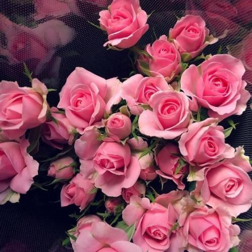 دانلود آهنگ دارم روانی میشمو انگار بود همین دیشب