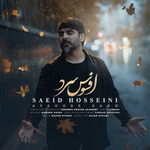 سعید حسینی افسوس سرد